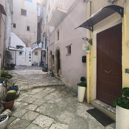 Vico 18